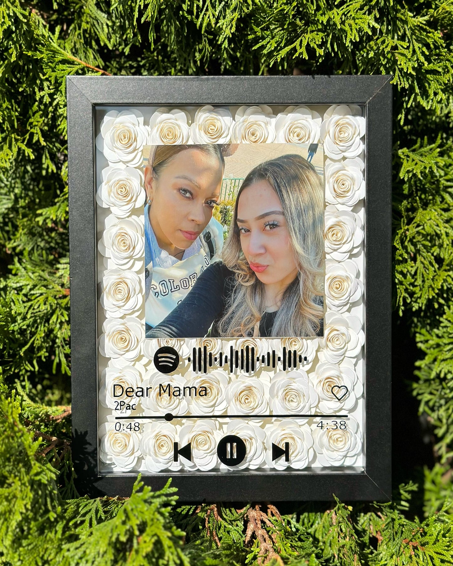 Song Shadow Box