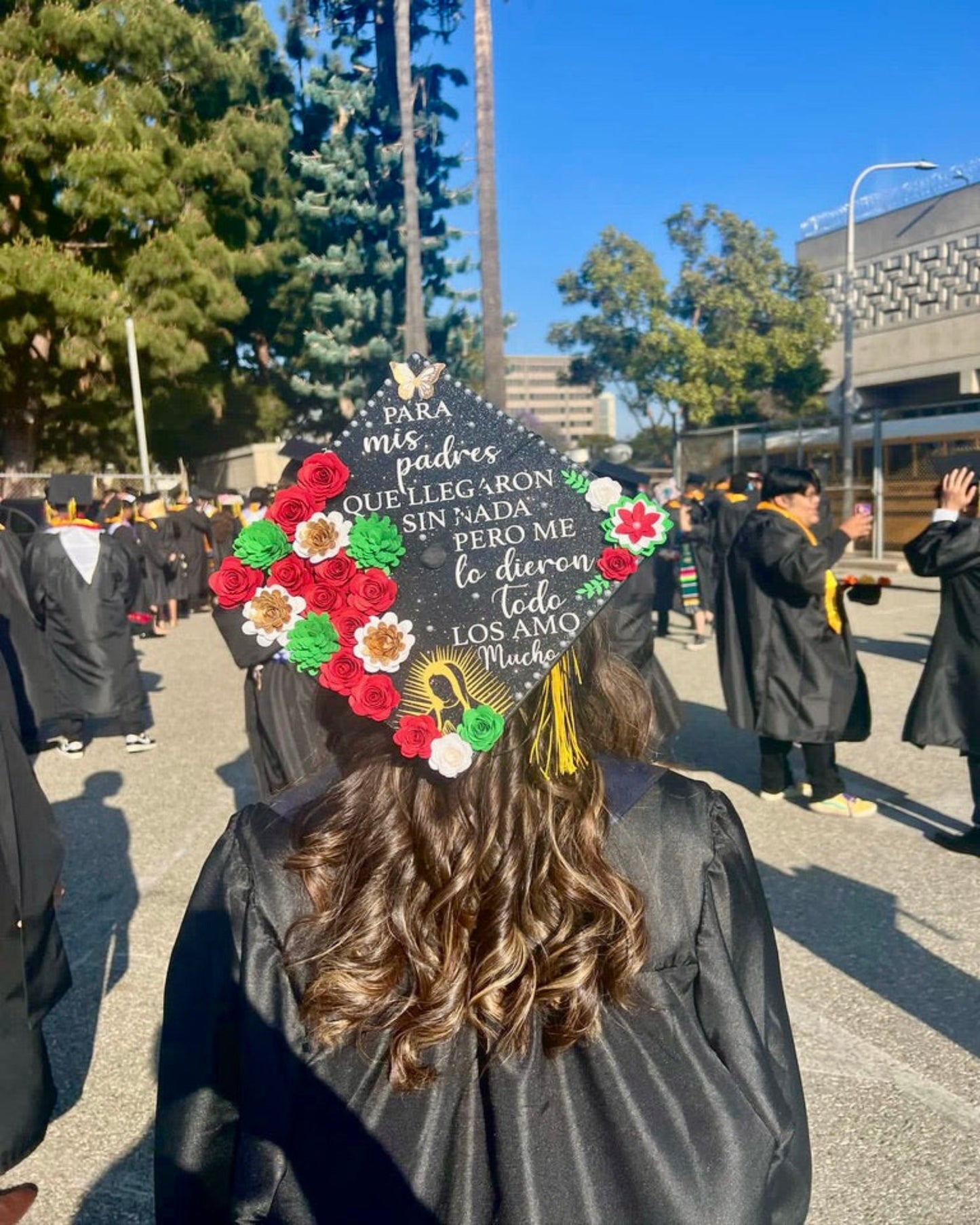 Red, White, and Green Grad Cap